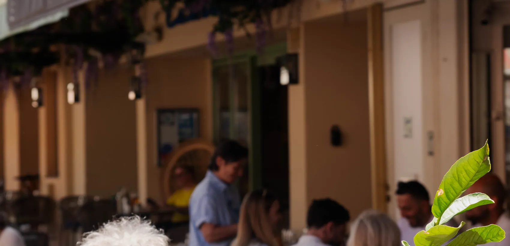 Le Bistrot de Jennifer, restaurant à quelques minutes de Antibes