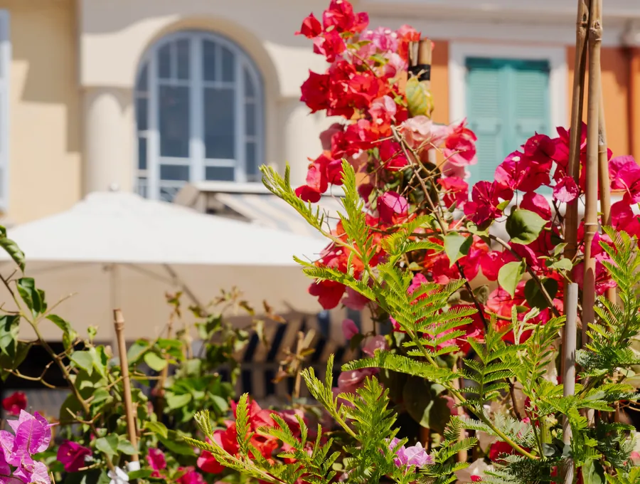 Le Bistrot de Jennifer, Cours Saleya — horaires et réservation depuis Cagnes-sur-Mer