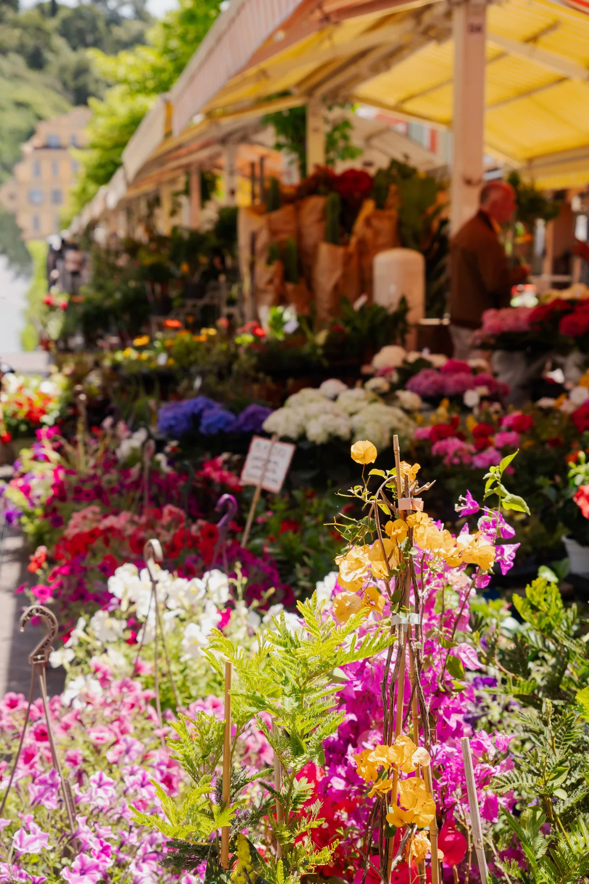 De la rade de Villefranche au marché aux fleurs du Cours Saleya, Bistrot de Jennifer